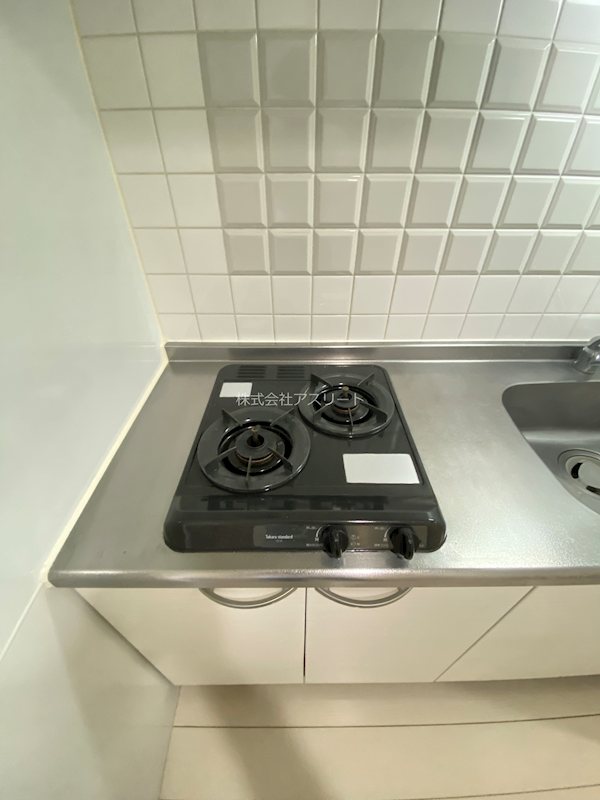 レジデンシャルヒルズデュオスタイル その他9