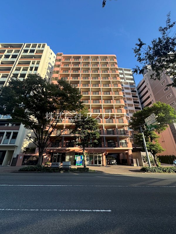 インヘリッツ田原 906号室 外観