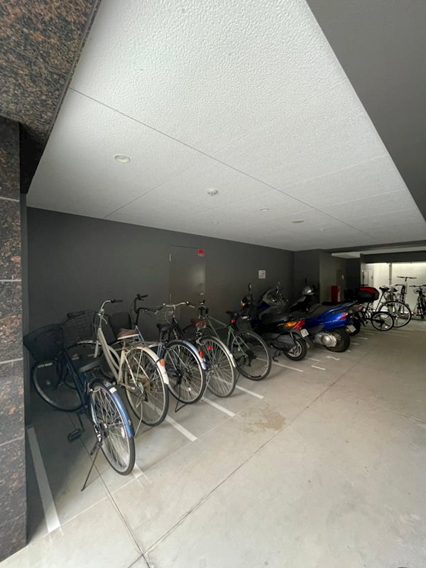 サニークレスト須崎町 その他外観4