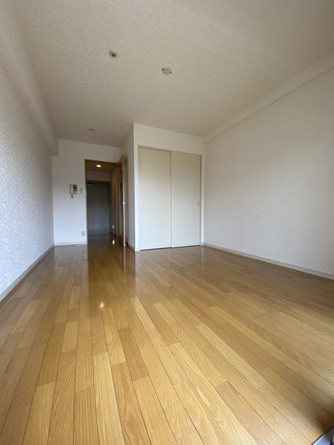 サヴォイエイペックス その他11