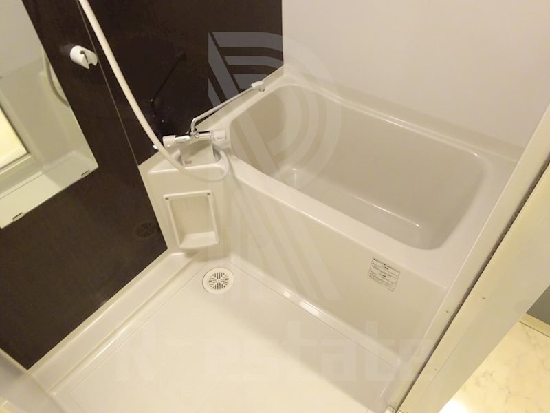 レジデンシャルヒルズ博多駅前 風呂画像