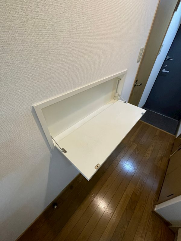 ダイナコートエスタディオレシェンテ その他13