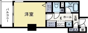 ピュアドームエスパルシア博多 901号室 間取り