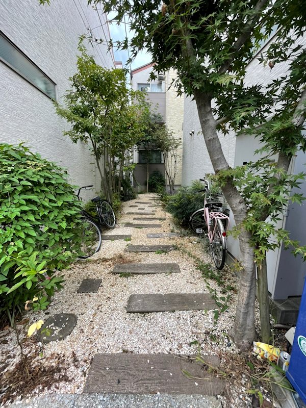 アプリコット その他1