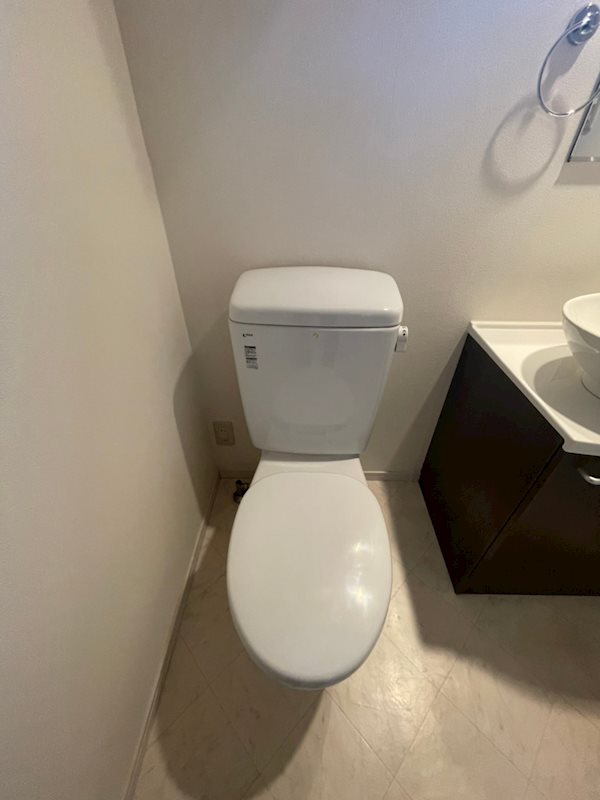 アプリコット その他4