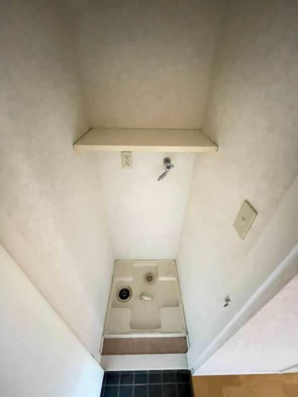 サヴォイグランデス その他8