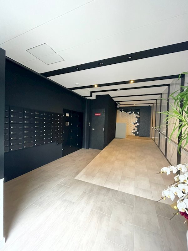 ソールオリエンス博多 その他3