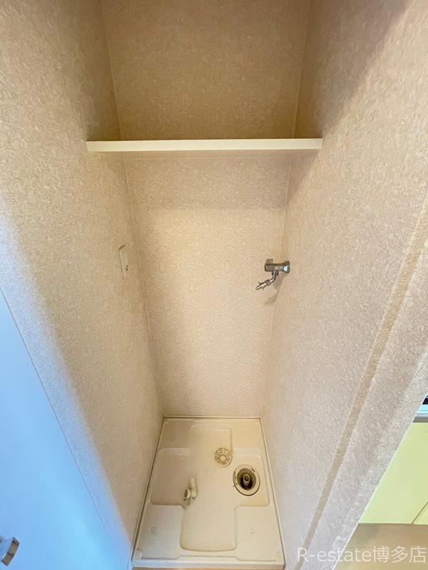 サヴォイエリート その他8