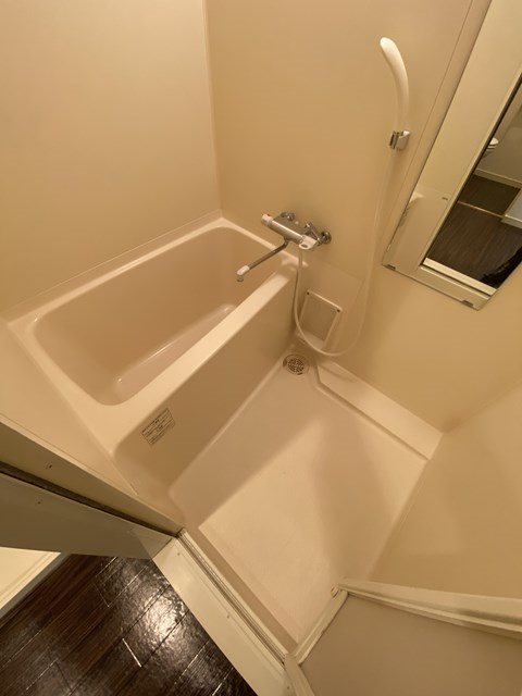 サヴォイエイペックス 風呂画像