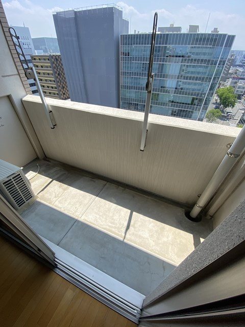 サヴォイエイペックス ベランダ