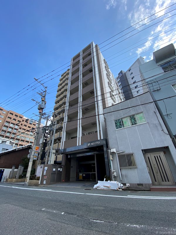 ネストピア県庁前 703号室 外観