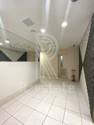 ダイナコートエスタディオレシェンテ その他2