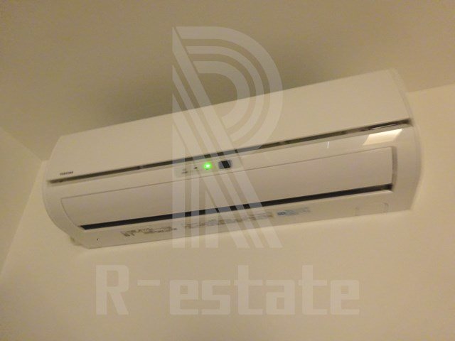 サヴォイラサブリエール その他13