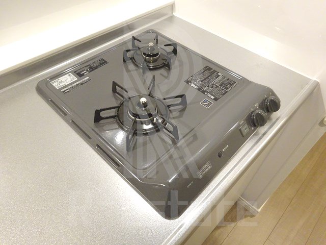 サヴォイラサブリエール その他8