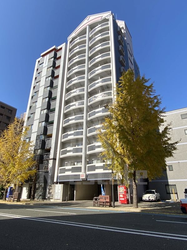 アリビオ百年橋通り 802号室 外観