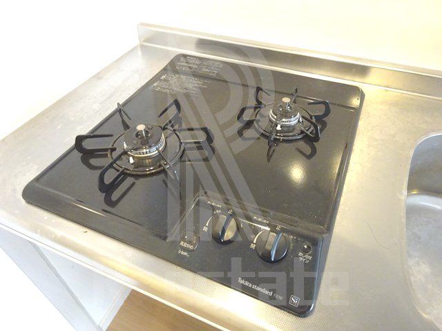 サヴォイソリディティ その他6