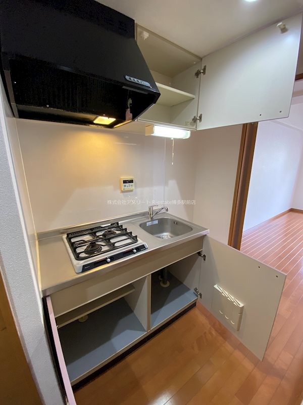 ラフォーレ大濠パークアベニュー その他17