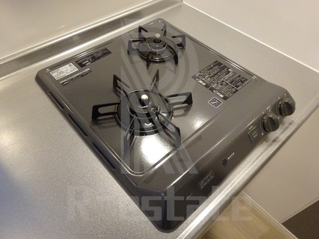 サヴォイラサブリエール その他9