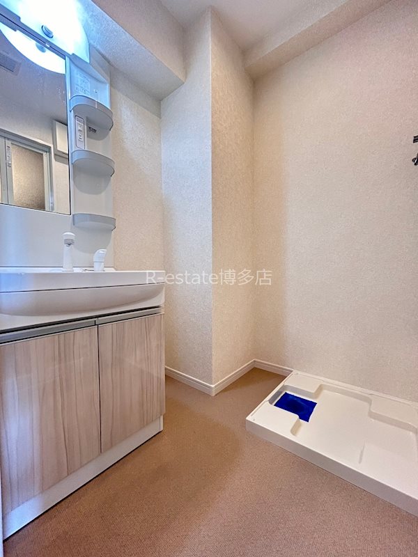 サヴォイソリディティ その他4