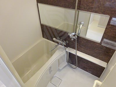 サヴォイソリディティ 風呂画像