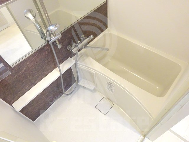 サヴォイソリディティ 風呂画像