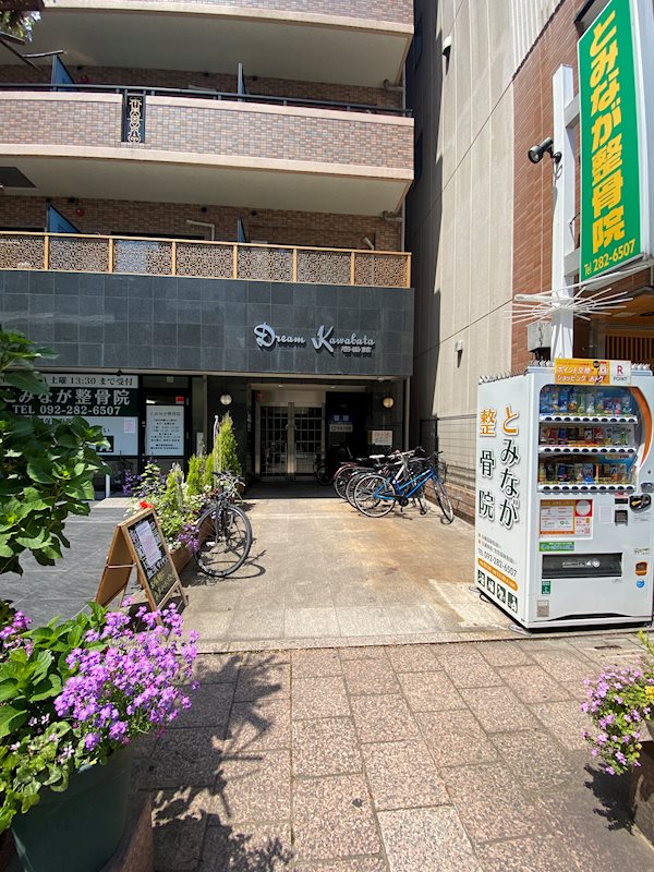 ドリーム川端壱番館 その他外観1