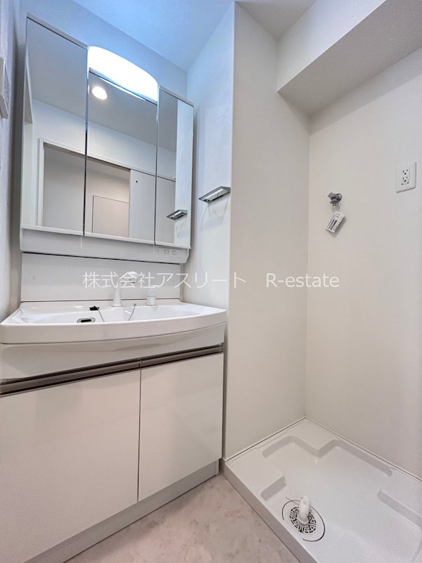 サヴォイラシャンス その他4