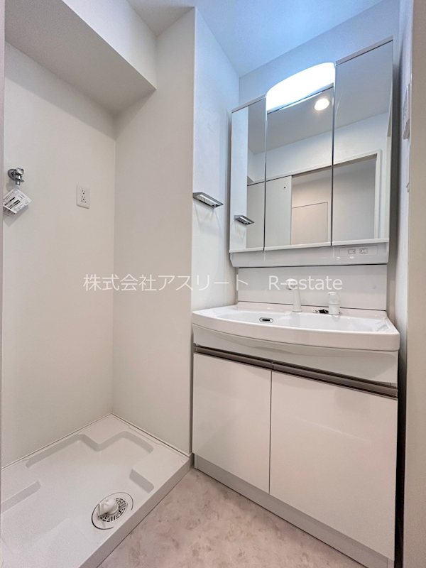 サヴォイラシャンス その他4