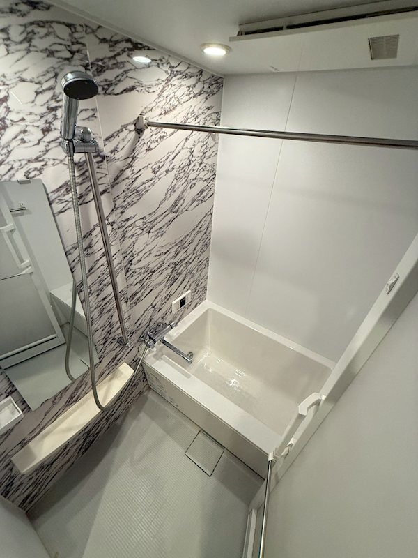 GRAND HILL IWASE　BLD 風呂画像