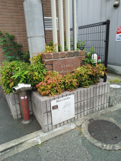 グレイス竹下 その他1