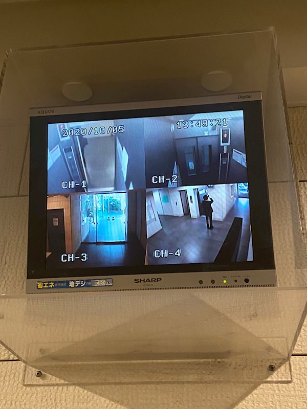 サヴォイザセントラルガーデン その他外観2