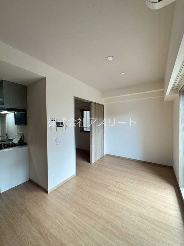 ルアナスザキ その他12