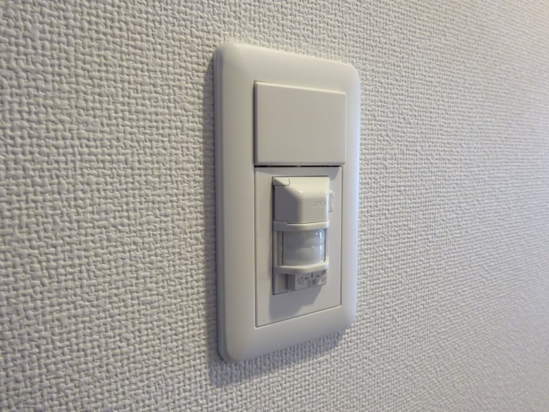 サヴォイラサブリエール その他22