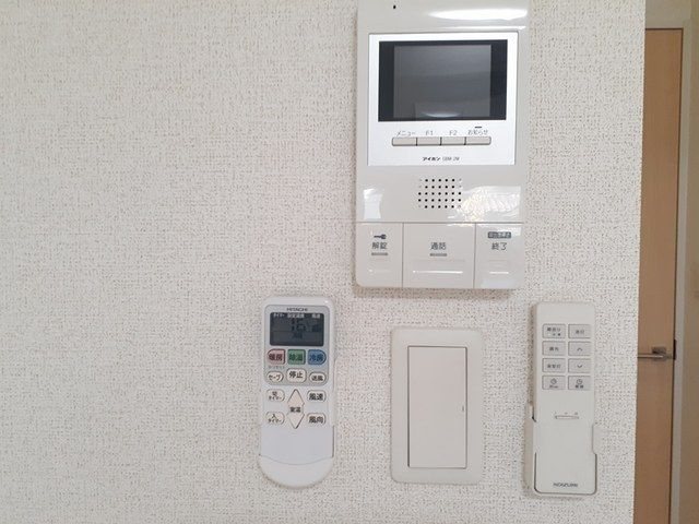 ルアナ その他2