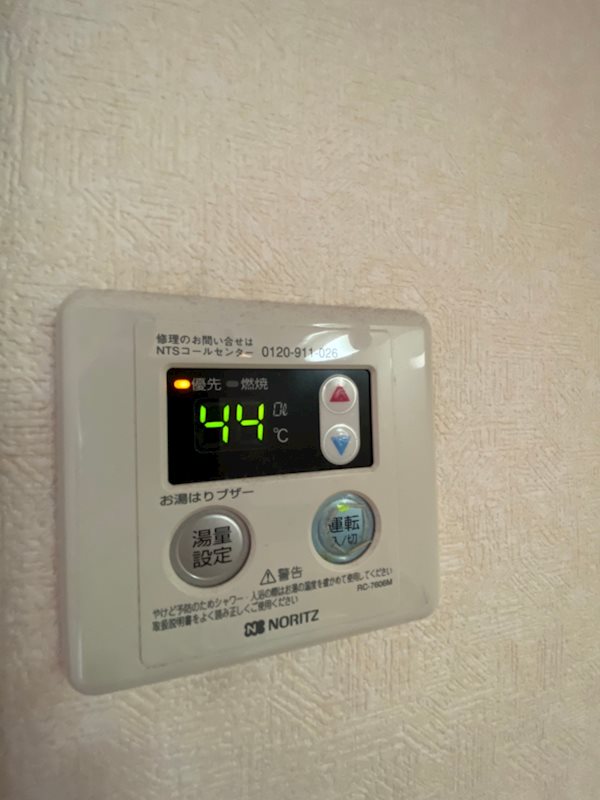 サヴォイザセントラルガーデン その他10