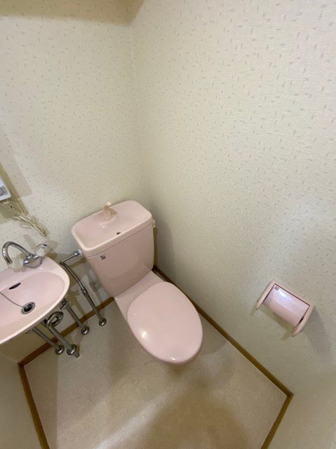 ダイナコートエスタディオレシェンテ その他5