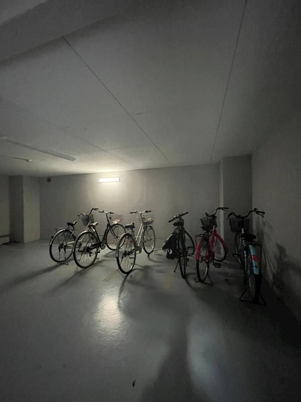 RENACE FOREST HAKATA その他外観5