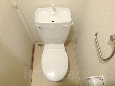 サヴォイエイペックス その他4