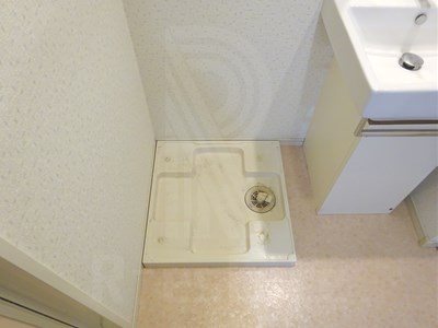 サヴォイエイペックス その他6