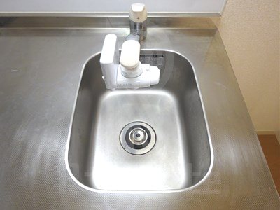 サヴォイエイペックス その他7