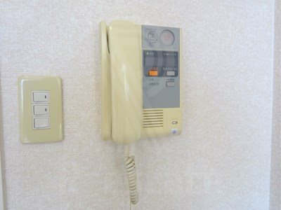 サヴォイエイペックス その他9