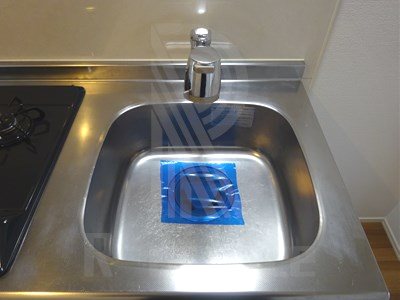 サヴォイコートオブアームズ その他9