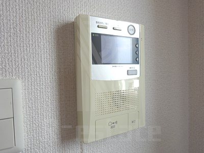 サヴォイザティファナ その他12