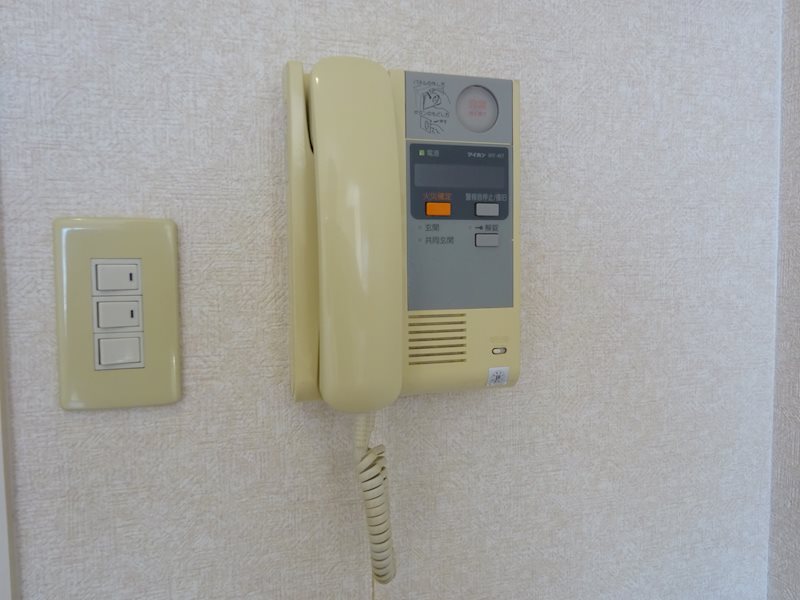 サヴォイエイペックス その他10