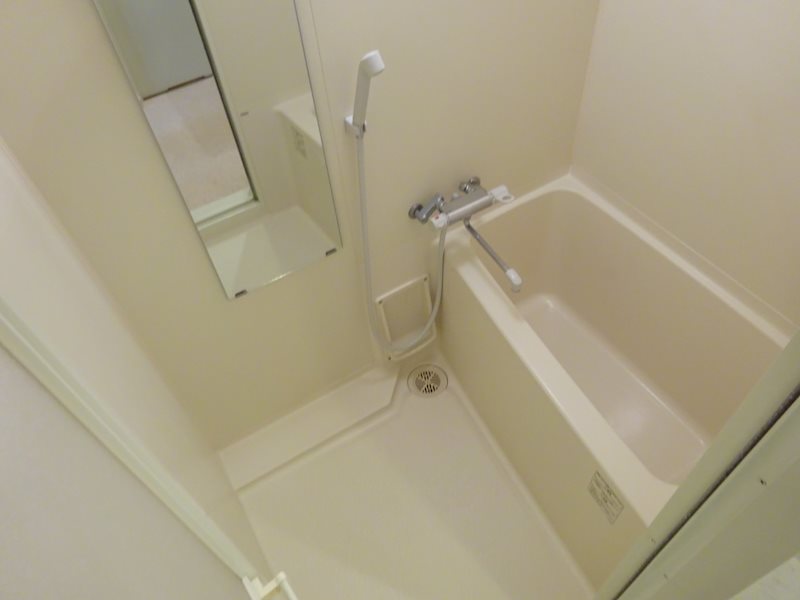 サヴォイエイペックス 風呂画像