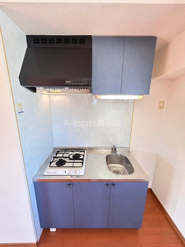 ラフォーレ西公園 キッチン