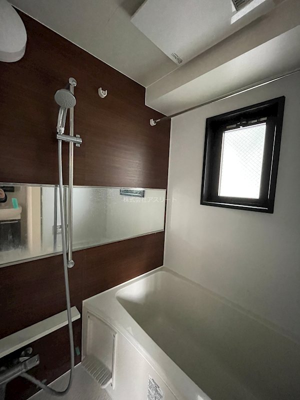 LANDIC　S4173 風呂画像