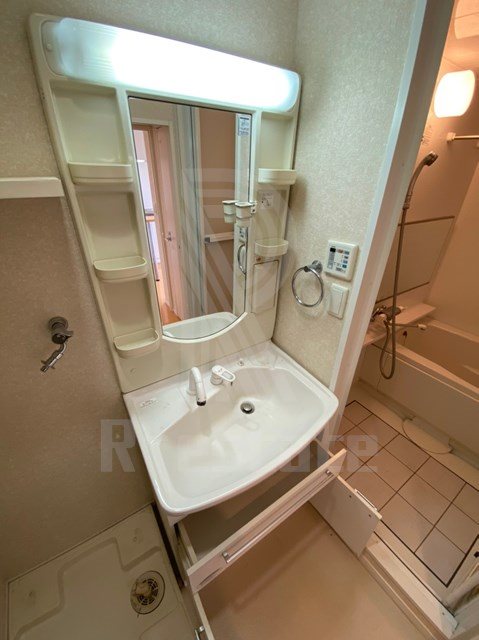 サヴォイエリート その他6