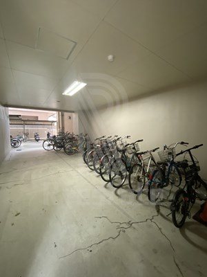 サヴォイエリート その他11