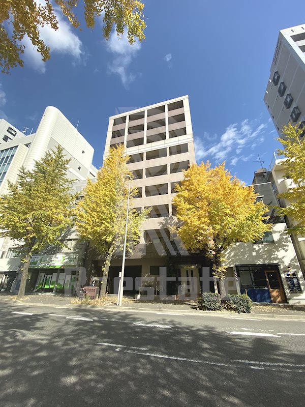 ピュアドームエクセル博多 503号室 外観